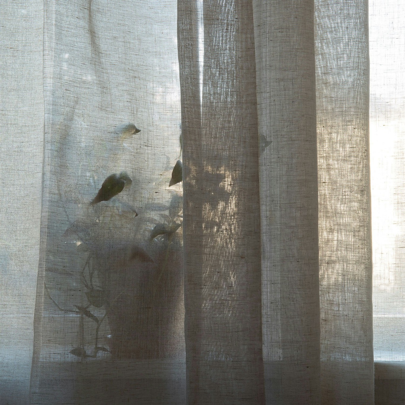 Sophie Breite 290x250 cm Mimou - Doppelte @ Natur, Vorhang