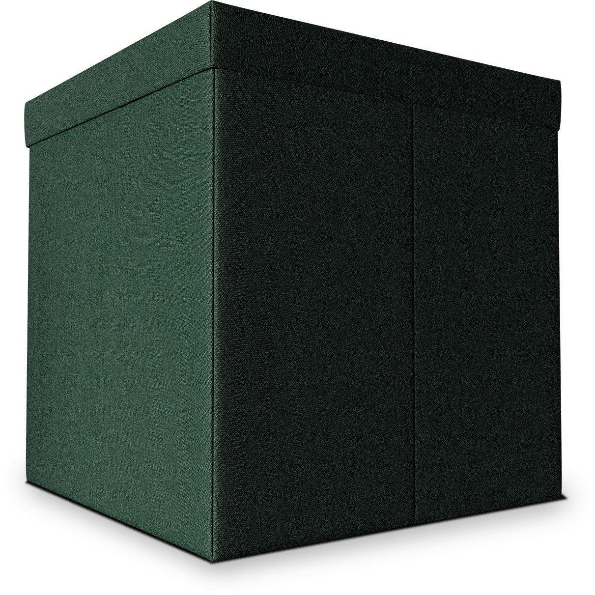 Organizer Aufbewahrungsbox Pine, 60x30x30 cm