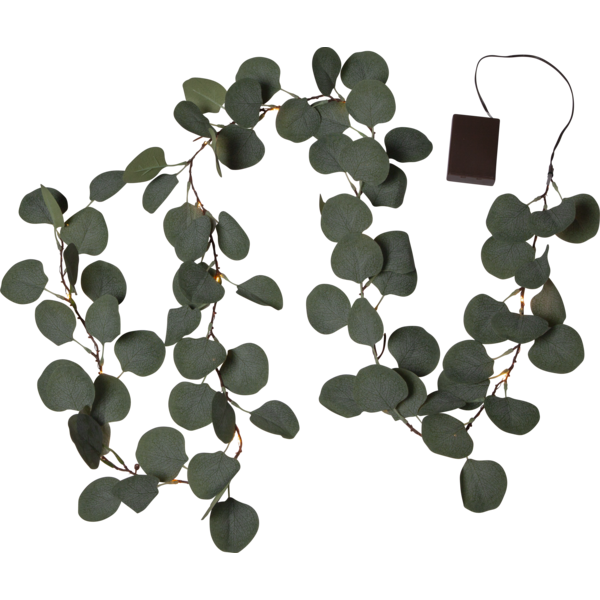 Eucalyptus-Girlande